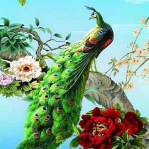 Meet your Posher, Nasir